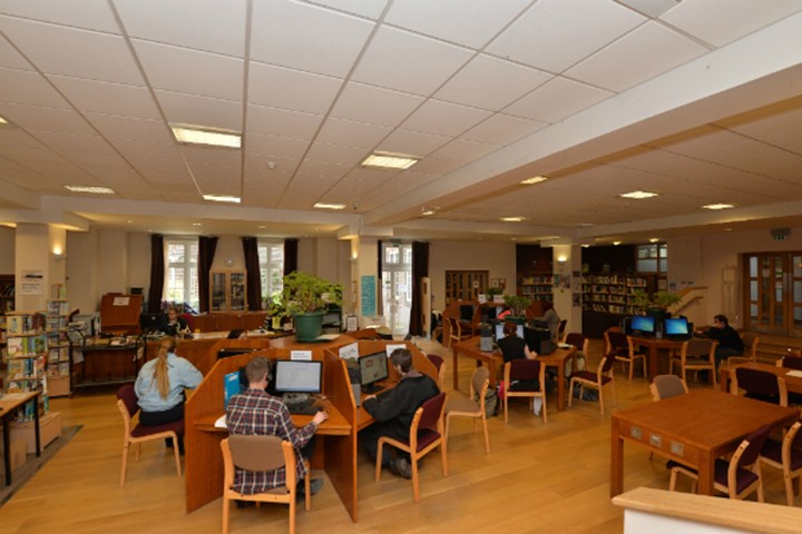 computer users in a library