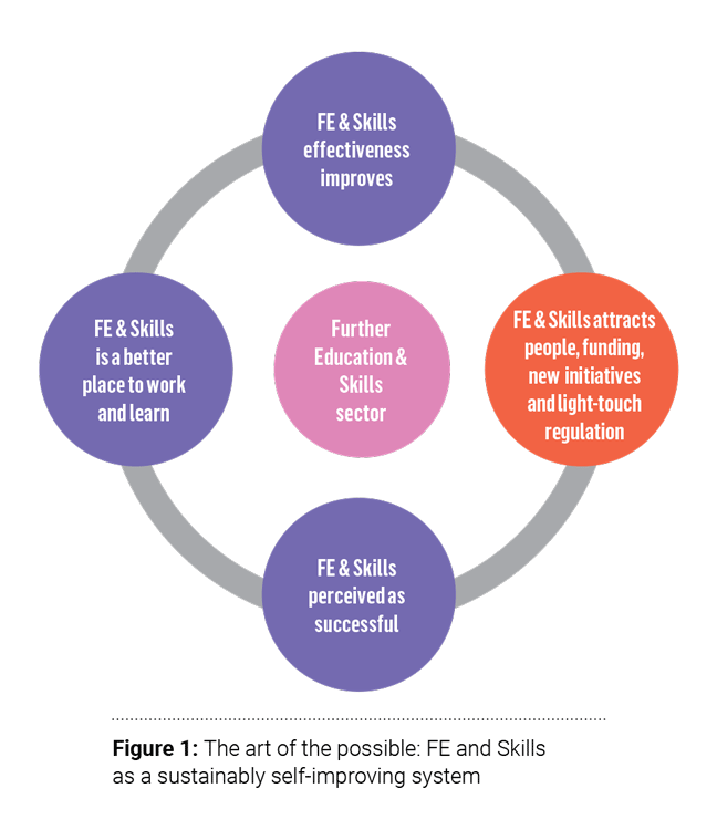 Circle flow chart showing the FE and Skills as a sustainably self-improving system