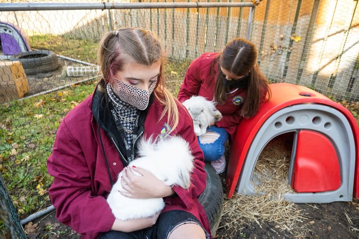 Two female students playing with rabbits