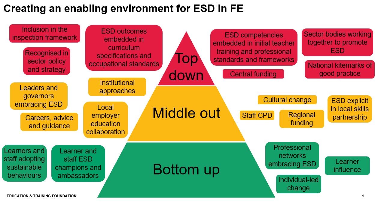 graphic about creating an enabling environment for ESD in FE